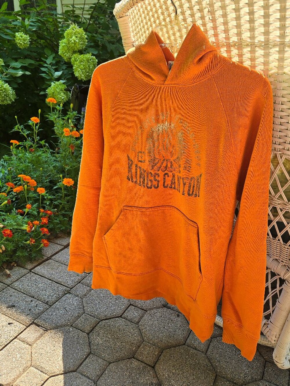 Vintage Kings Canyon National Park Hoodie medium
